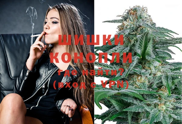 индика Волоколамск