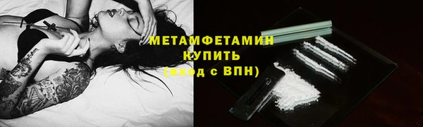 индика Волоколамск