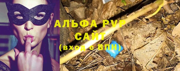 стаф Горняк
