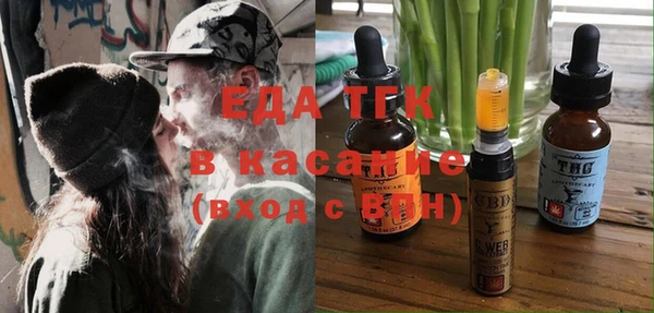 индика Волоколамск