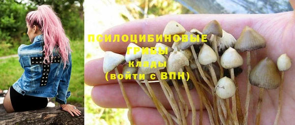 гидропоника Осинники