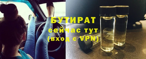 индика Волоколамск